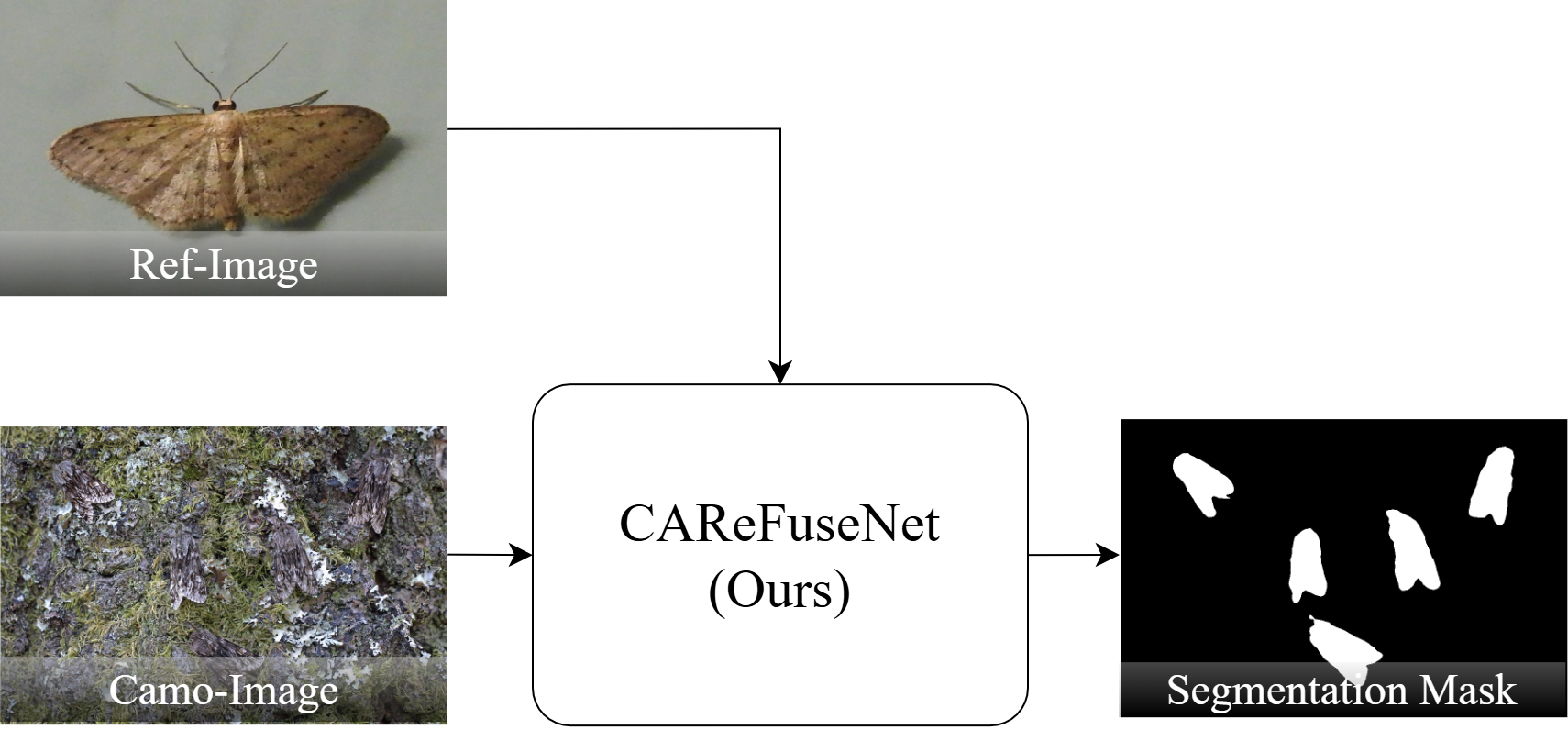 CAReFuseNet Capability